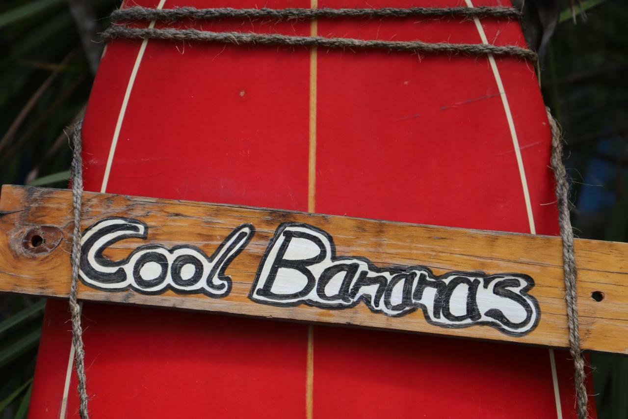 A Pousada Cool Bananas Backpackers Agnes Water Exterior foto
