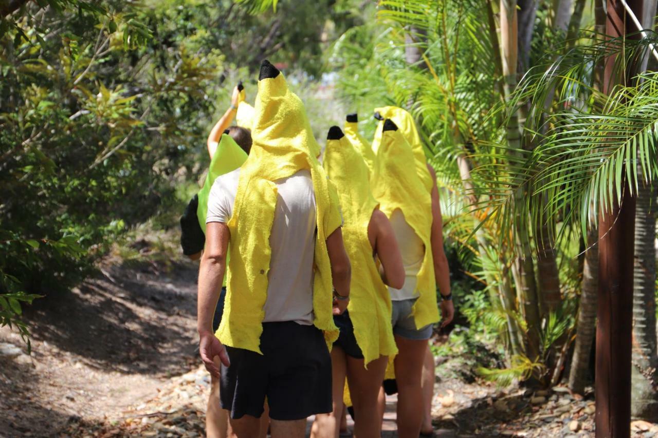 A Pousada Cool Bananas Backpackers Agnes Water Exterior foto